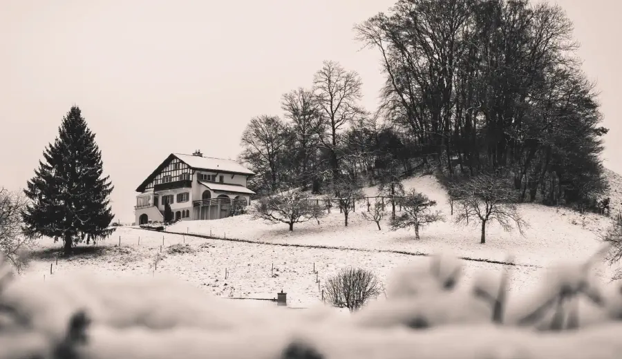 Проведение кадастровых работ в Москве и МО — этапы, основания и результат в ЕГРН