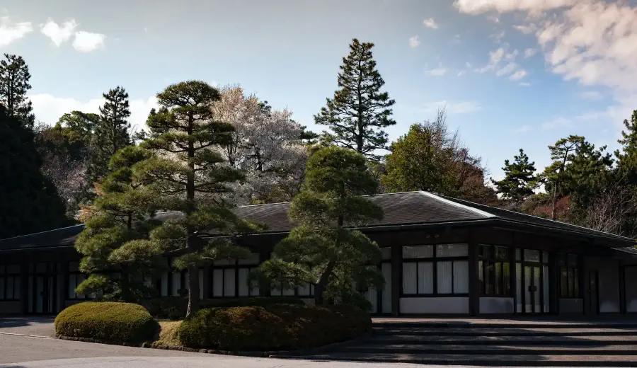 Геоподоснова (инженерно-топографический план): что это, отличия от топосъёмки, согласования