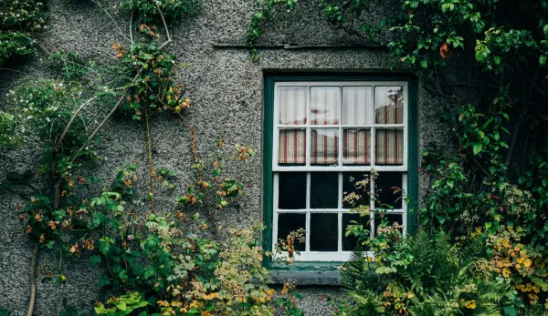 Участие в выставке